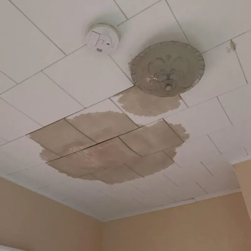 Ceiling Water Damage Repair in Rockaway, NJ