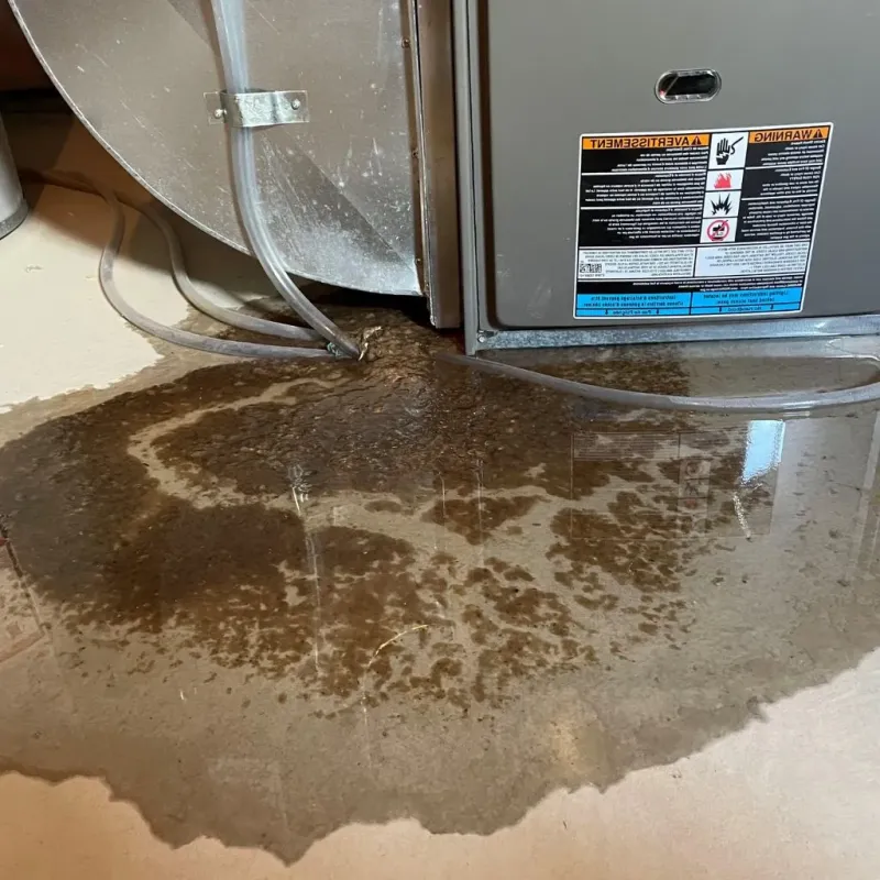 Pipe Burst and Leak Restoration in Rockaway, NJ